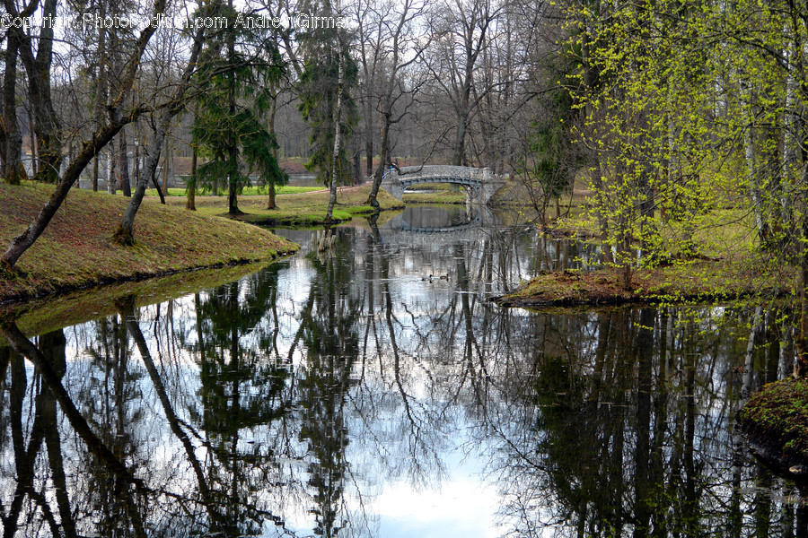 Land, Marsh, Outdoors, Swamp, Water