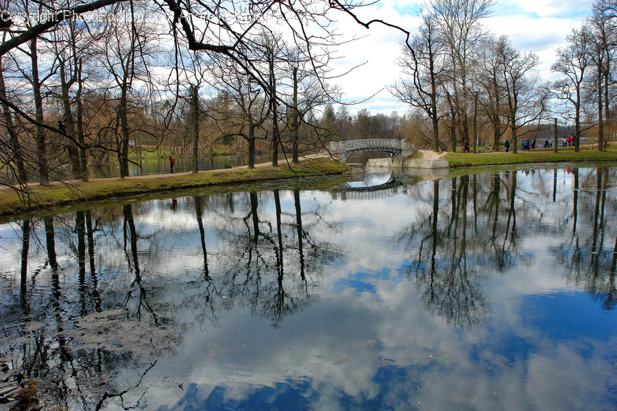 Outdoors, Pond, Water, River