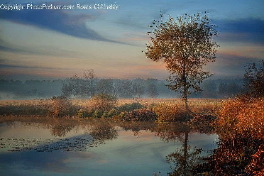 Flood, Dawn, Dusk, Sky, Sunrise
