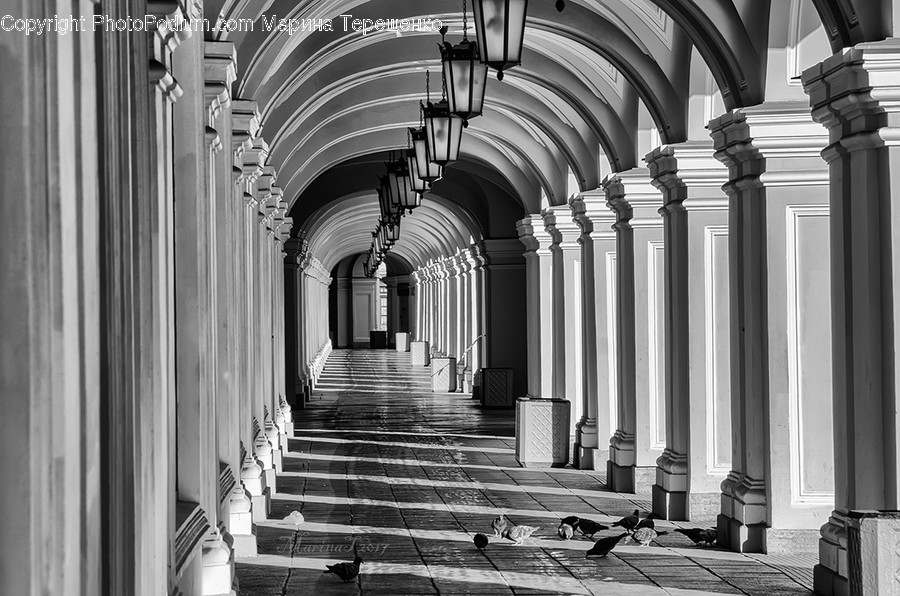 Column, Pillar, Aisle, Corridor, Arch