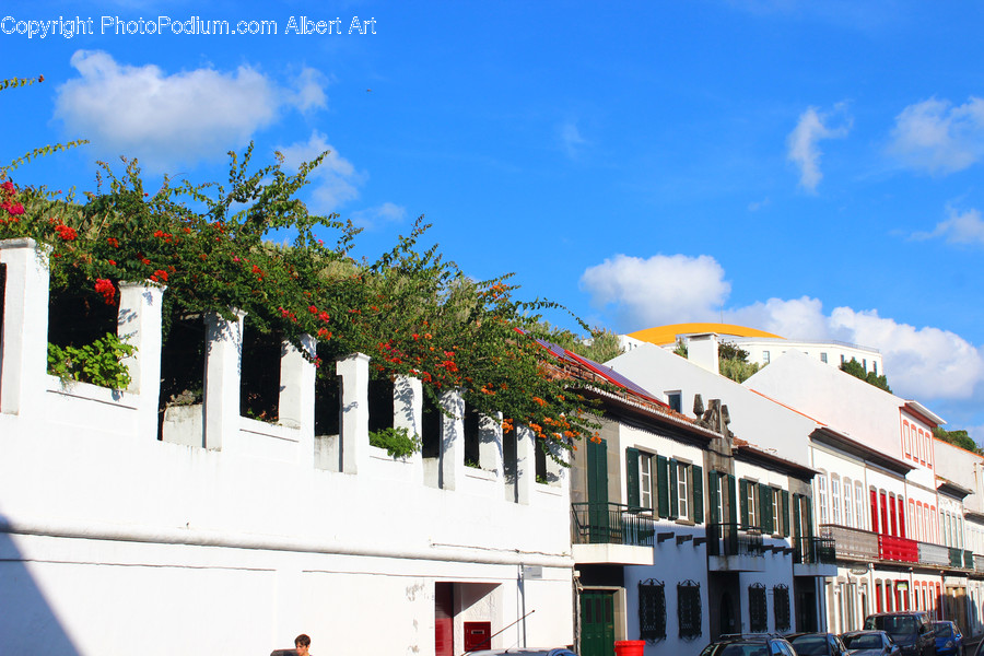 Plant, Potted Plant, Building, Housing, Villa
