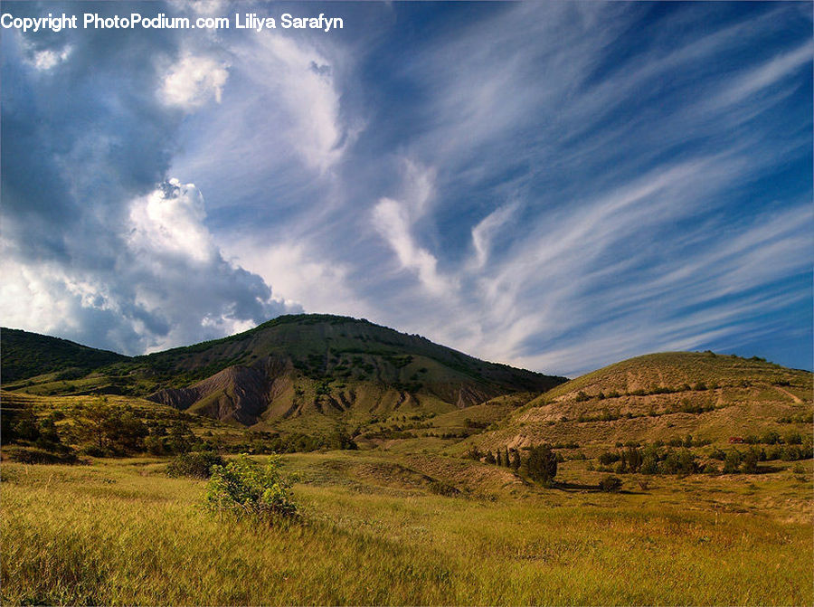 Field, Grass, Grassland, Land, Outdoors, Countryside, Hill