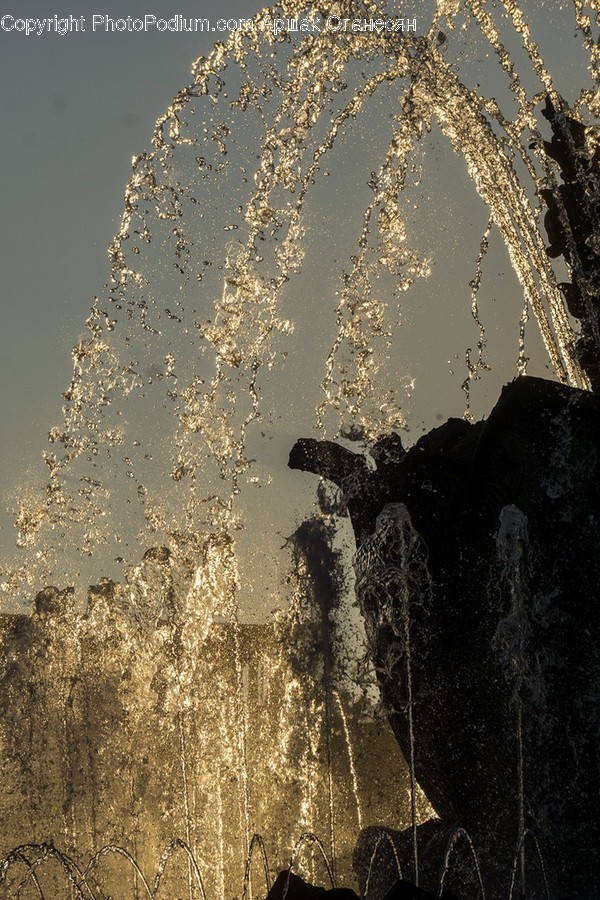 Fountain, Water, Plant, Tree, Outdoors