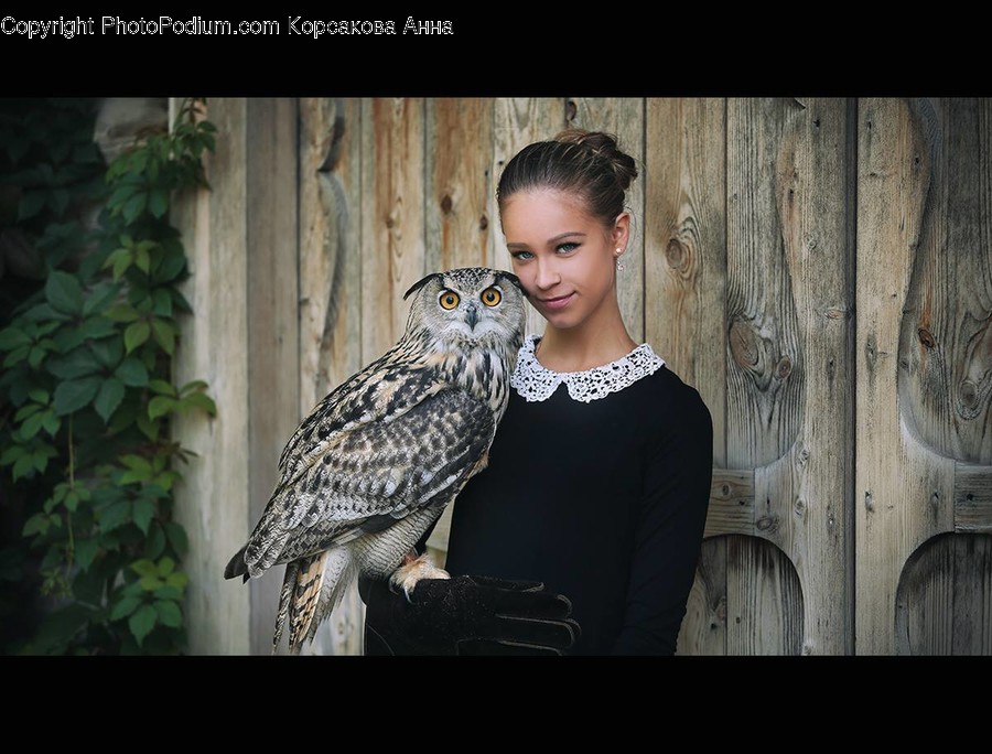 People, Person, Human, Bird, Buzzard