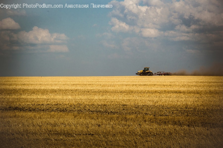 Field, Grass, Grassland, Land, Outdoors