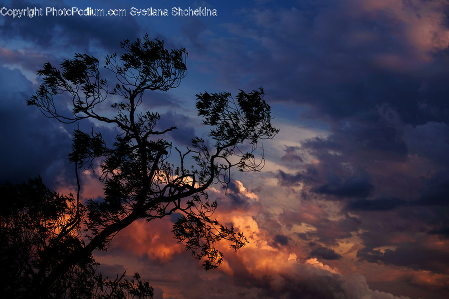 Dawn, Dusk, Red Sky, Sky, Sunrise