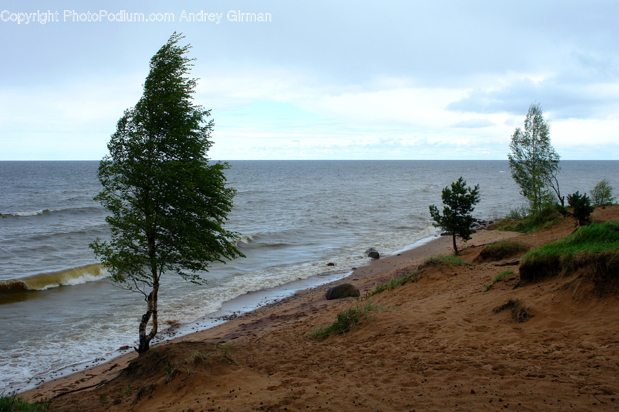 Soil, Beach, Coast, Outdoors, Sea