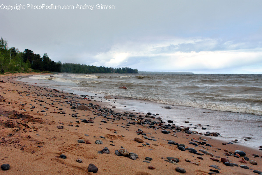 Beach, Coast, Outdoors, Sea, Water
