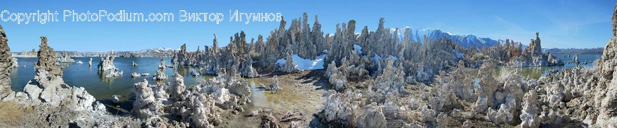 Frost, Ice, Outdoors, Snow, Conifer