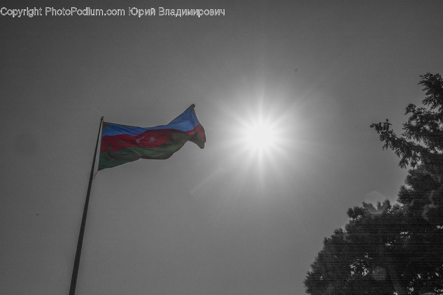 Pole, Plant, Tree, Emblem, Flag