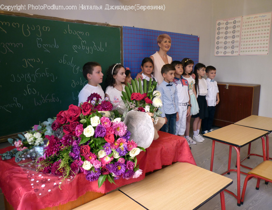 Human, People, Person, Blossom, Flora
