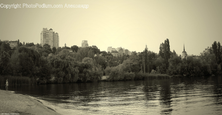 Outdoors, River, Water, Flora, Forest