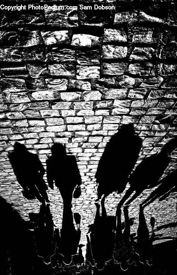 Silhouette, Brick, Water, Fence, Wall