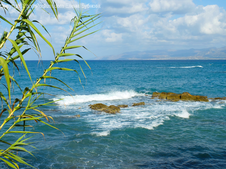 Nature, Ocean, Outdoors, Sea, Water