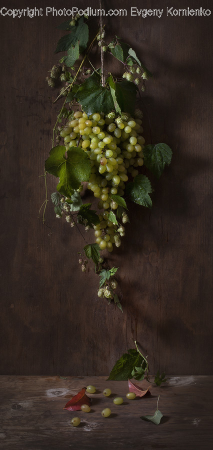 Flora, Food, Fruit, Grapes, Plant