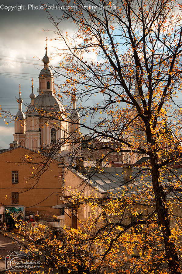 Architecture, Bell Tower, Building, Tower, Bicycle