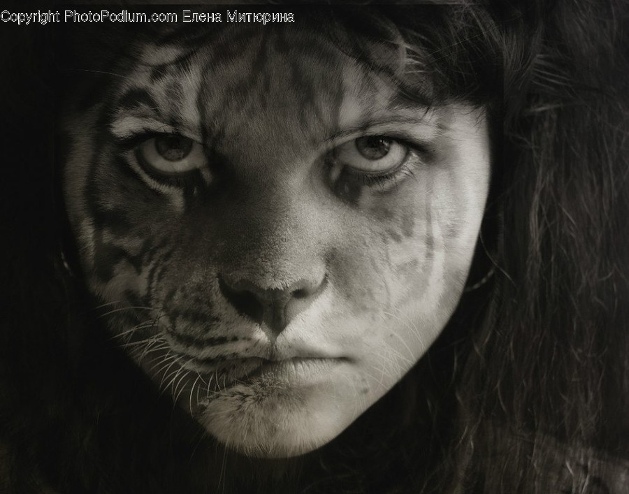 Face, Freckle, Human, Person, Portrait