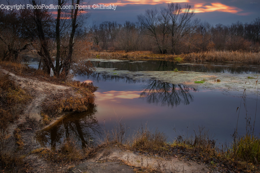 Land, Marsh, Outdoors, Swamp, Water