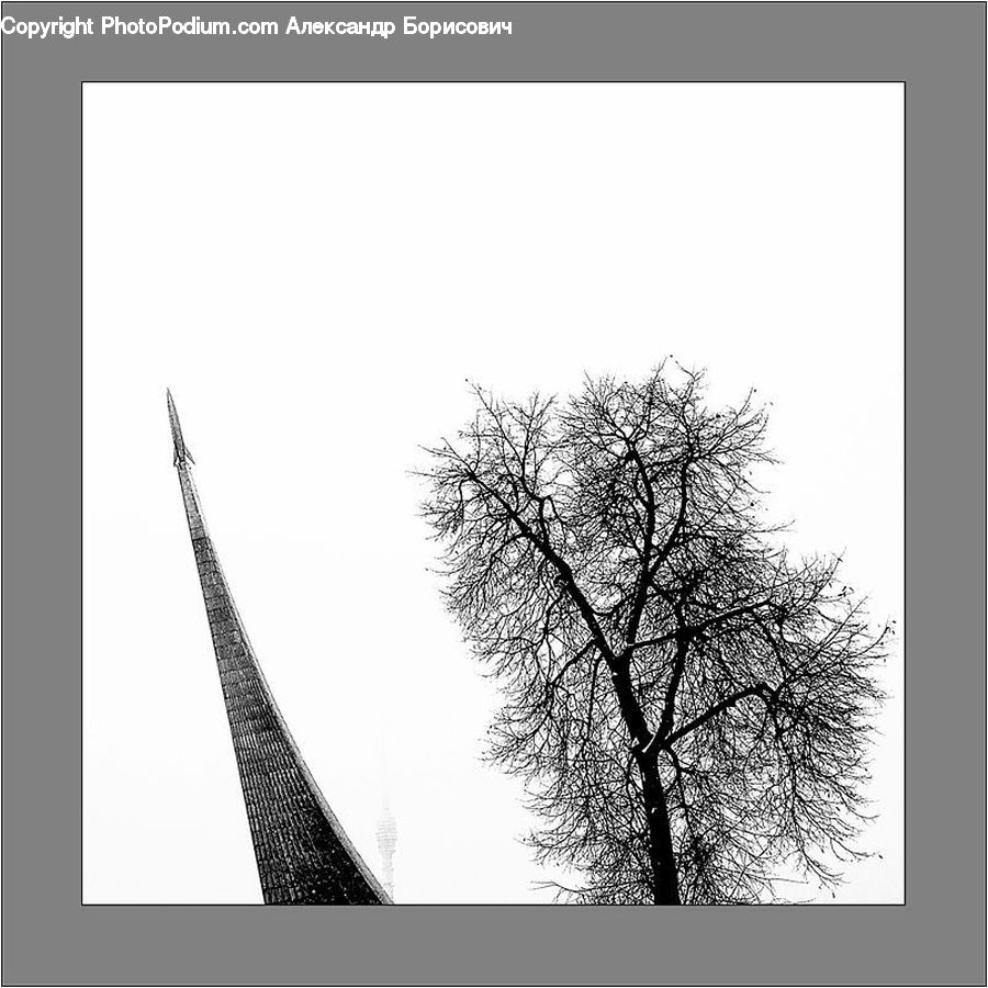 Collage, Poster, Plant, Tree, Architecture, Tower, Silhouette