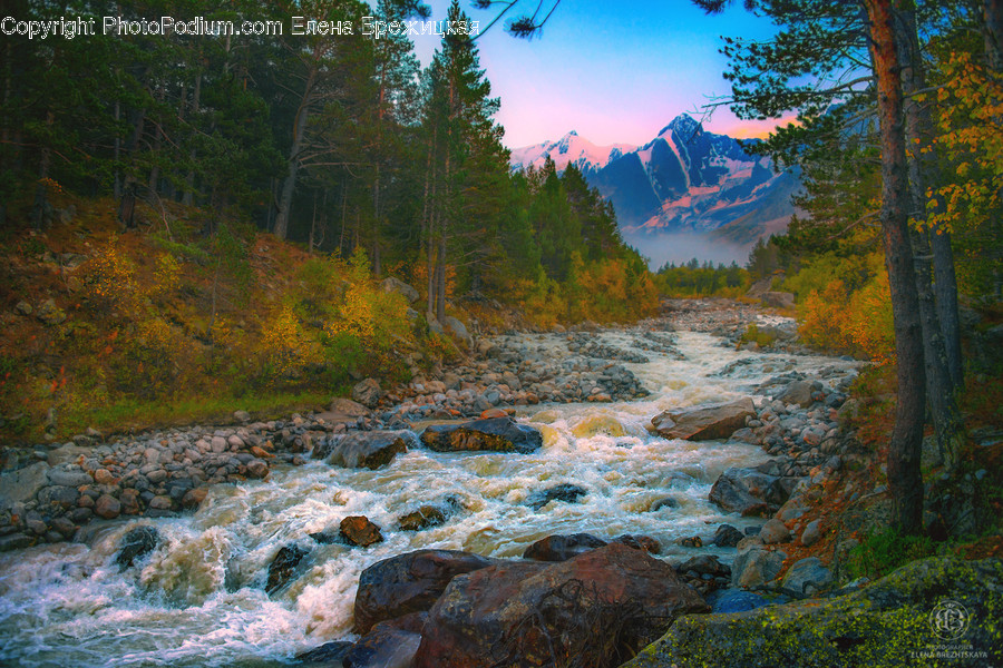 Creek, Outdoors, Stream, Water, River