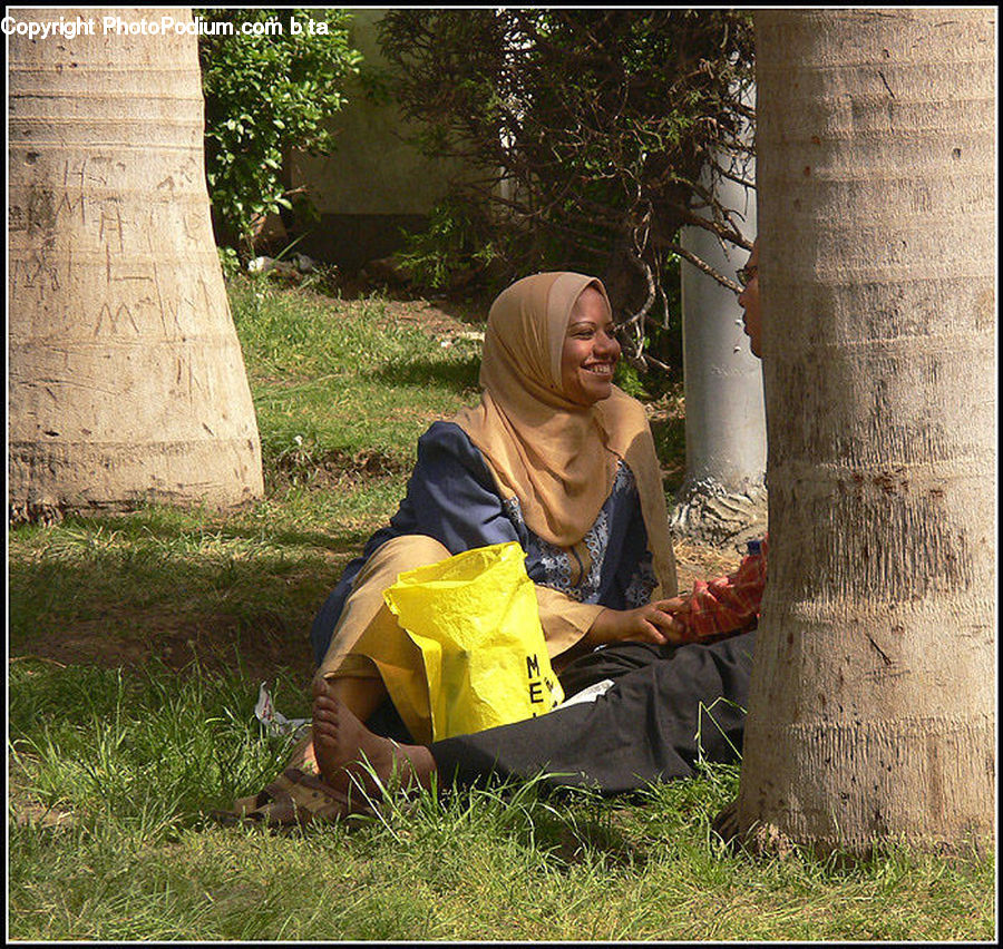 People, Person, Human, Tree Trunk, Conifer, Plant, Tree