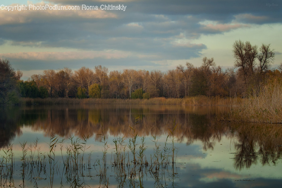 Outdoors, Pond, Water, Lake, Land