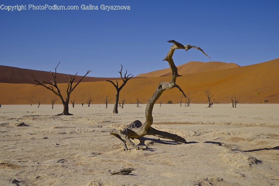 Outdoors, Sand, Soil, Desert, Nature