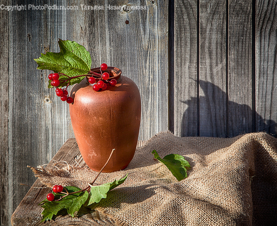 Cherry, Flora, Food, Fruit, Plant