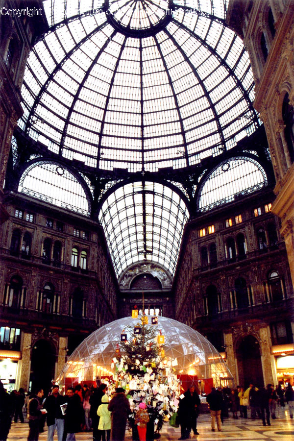 Arch, Arched, Architecture, Building, Vault Ceiling