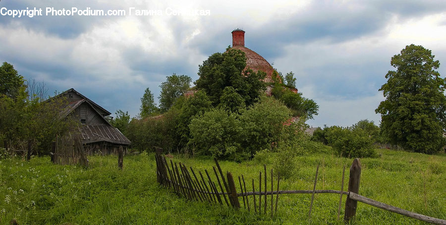 Building, Cottage, Housing, Conifer, Fir, Plant, Tree