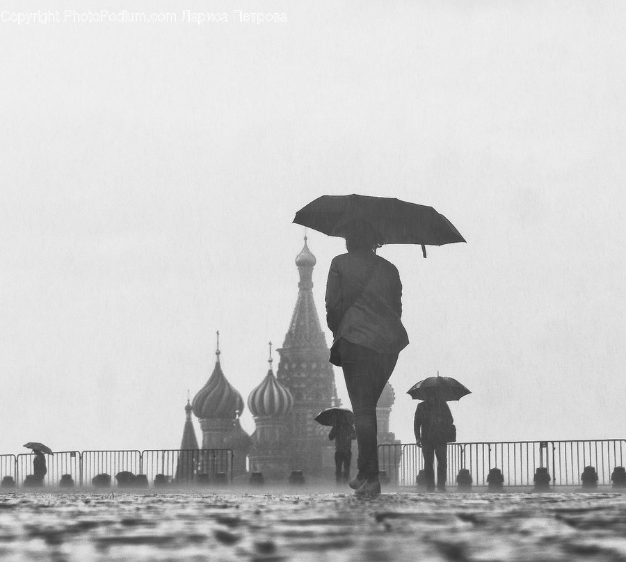 Human, People, Person, Canopy, Umbrella