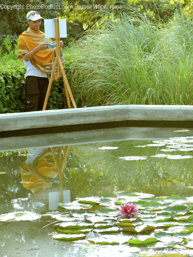 Human, People, Person, Water, Flora