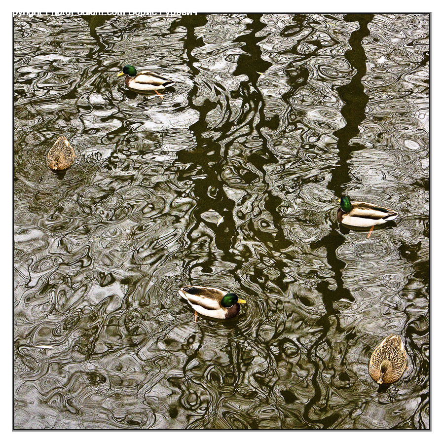 Doodle, Drawing, Outdoors, Ripple, Water, Art, Modern Art