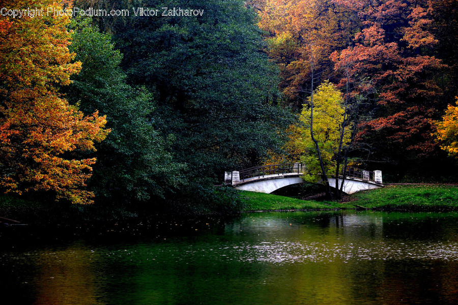 Canal, Outdoors, Water, River, Park