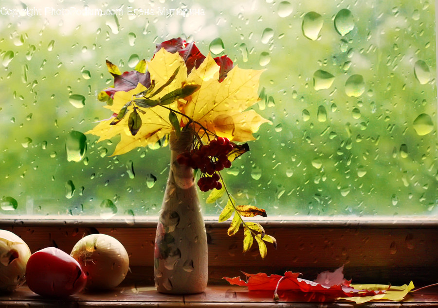 Flora, Jar, Plant, Potted Plant, Pottery