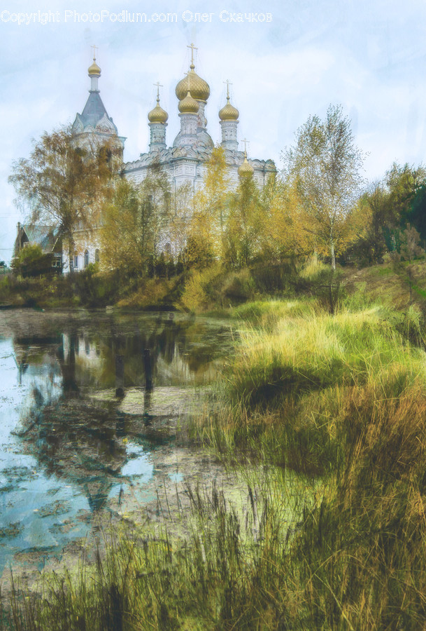 Architecture, Building, Cathedral, Church, Worship