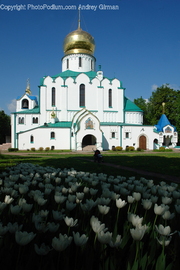 Architecture, Building, Church, Worship, Beacon