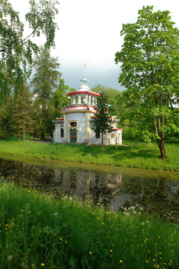 Gazebo, Flora, Plant, Tree, Conifer