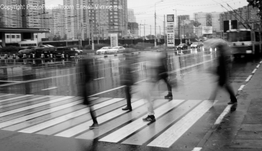 Human, People, Person, Urban, Bus