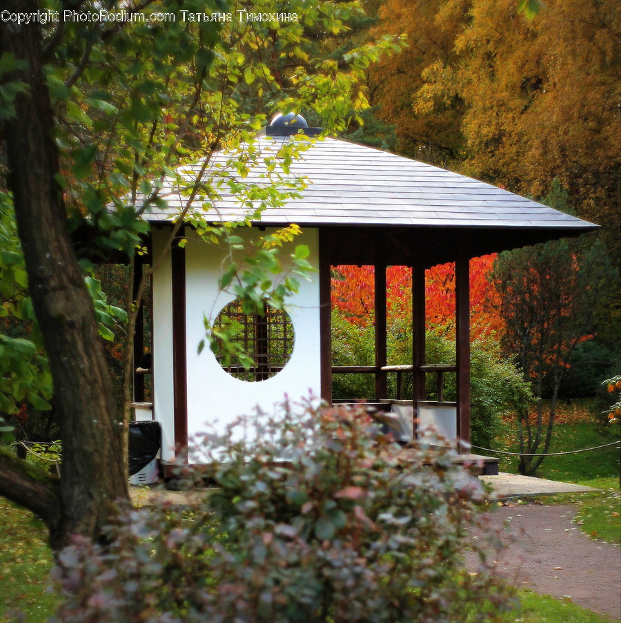 Gazebo, Flora, Jar, Plant, Potted Plant