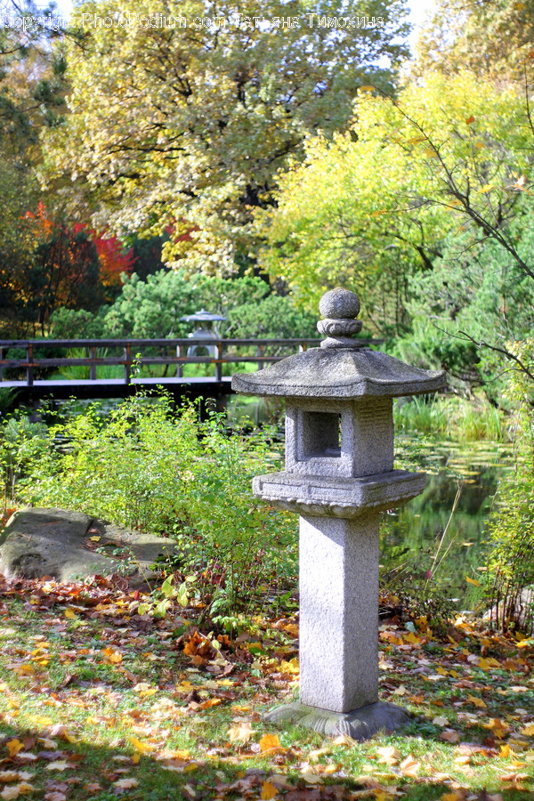 Creek, Outdoors, Stream, Water, Flora