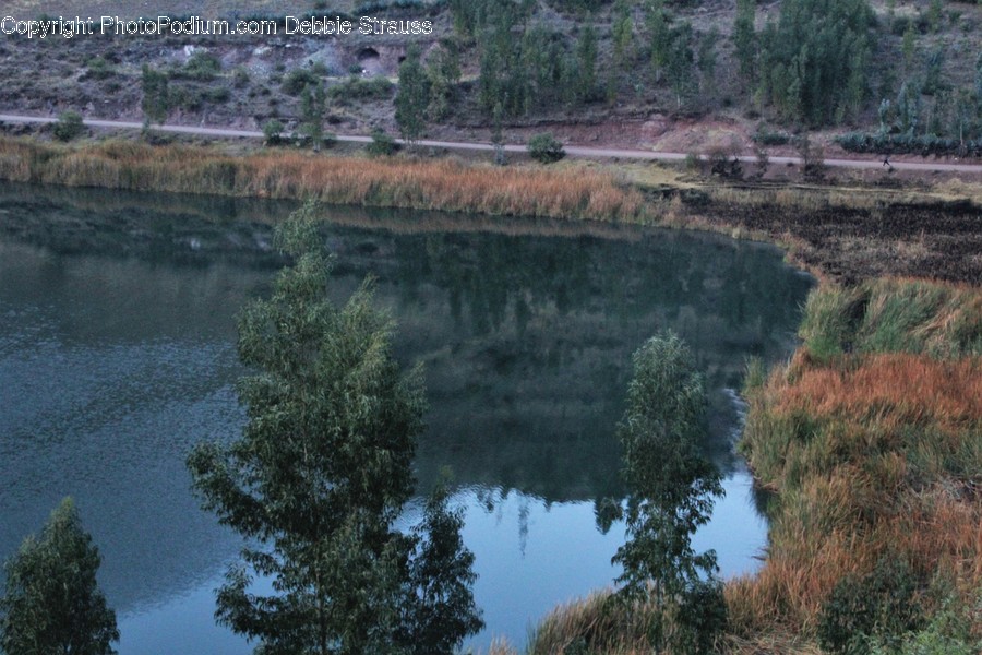 Land, Marsh, Outdoors, Swamp, Water