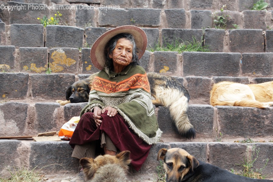 Human, People, Person, Animal, Canine