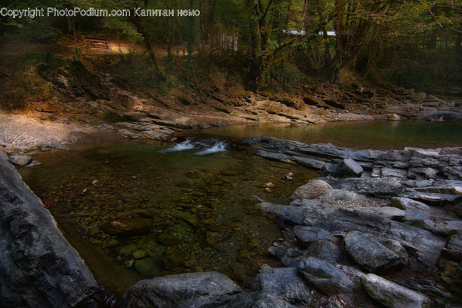 Creek, Outdoors, Stream, Water, River