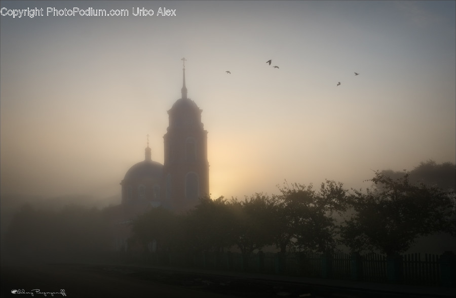 Fog, Nature, Weather, Mist, Outdoors