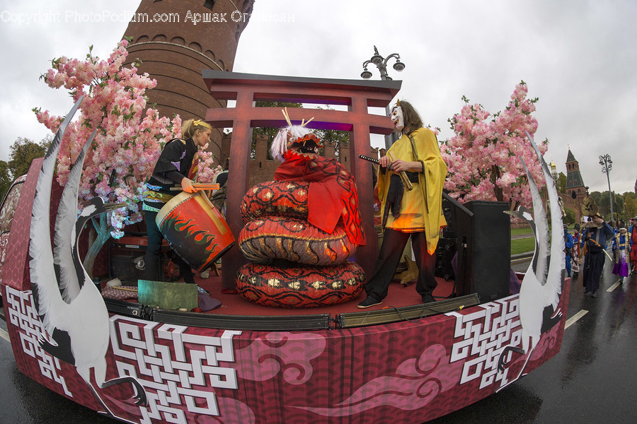 Human, People, Person, Fisheye, Bonsai