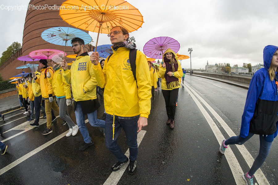 Human, People, Person, Canopy, Umbrella