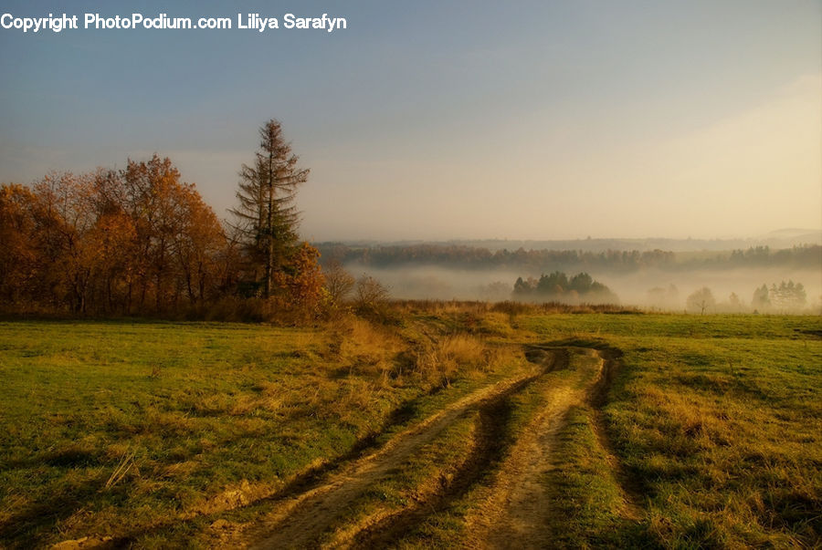 Dirt Road, Gravel, Road, Field, Grass, Grassland, Land