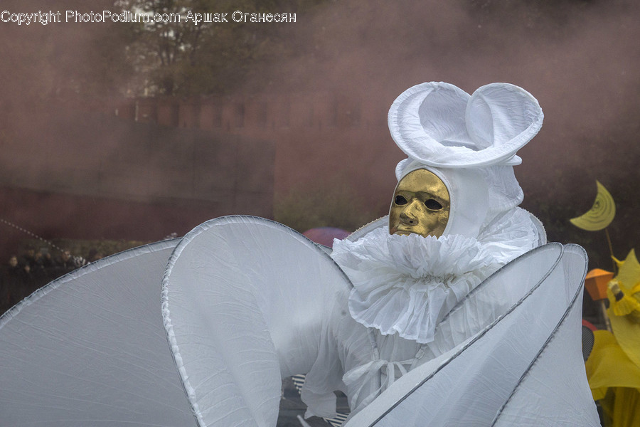Human, People, Person, Apiary, Clown