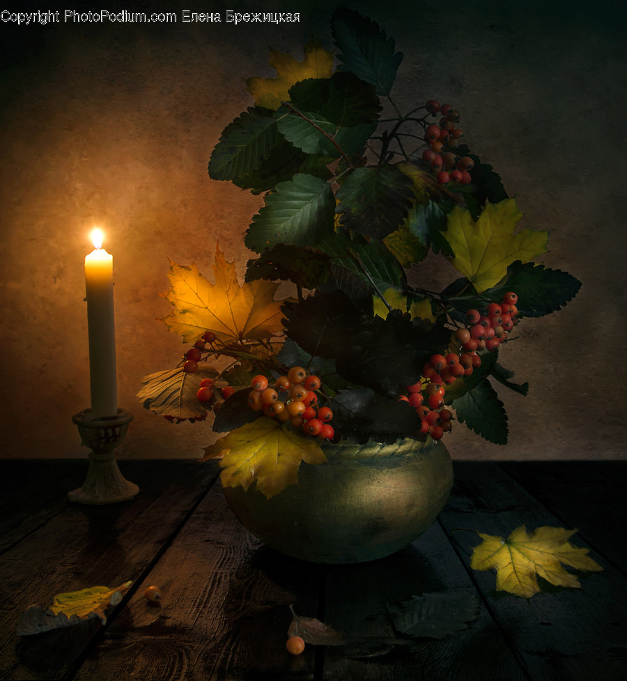 Flora, Food, Fruit, Grapes, Plant